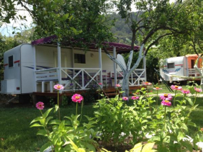 Bellerofon Camping